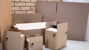 Packing Service In Mumbai